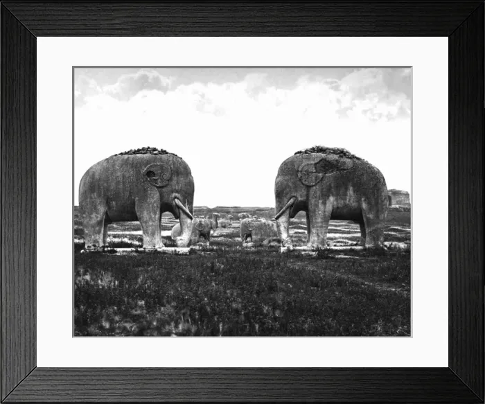 Framed Print : Statues on the road to the Ming Tombs, Nanjing, China Framed Print : Statues on the road to the Ming Tombs, Nanjing, China