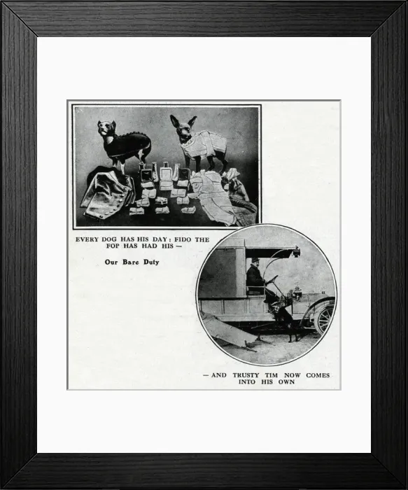 Framed Print : Dogs doing their wartime duty, WW1 Framed Print : Dogs doing their wartime duty, WW1