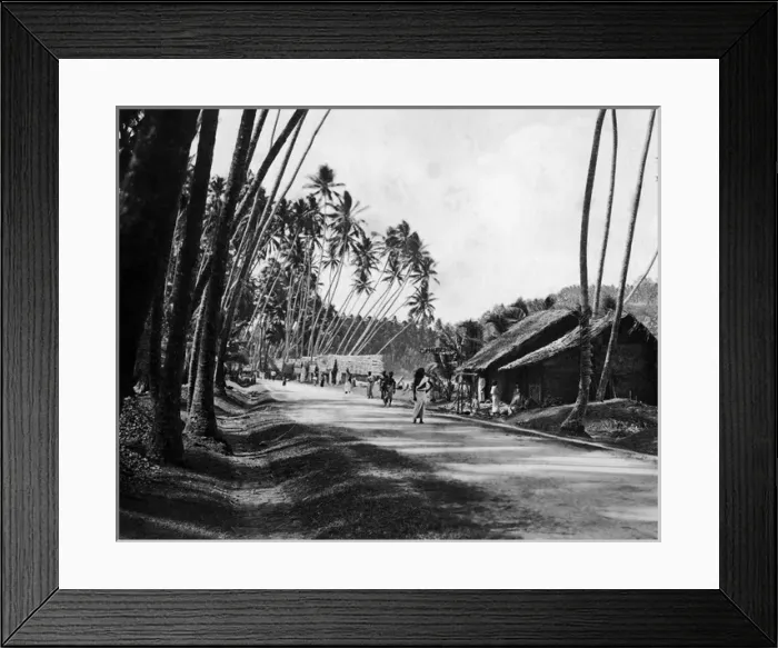 Framed Print : Roadway, Ceylon (Sri Lanka) Framed Print : Roadway, Ceylon (Sri Lanka)