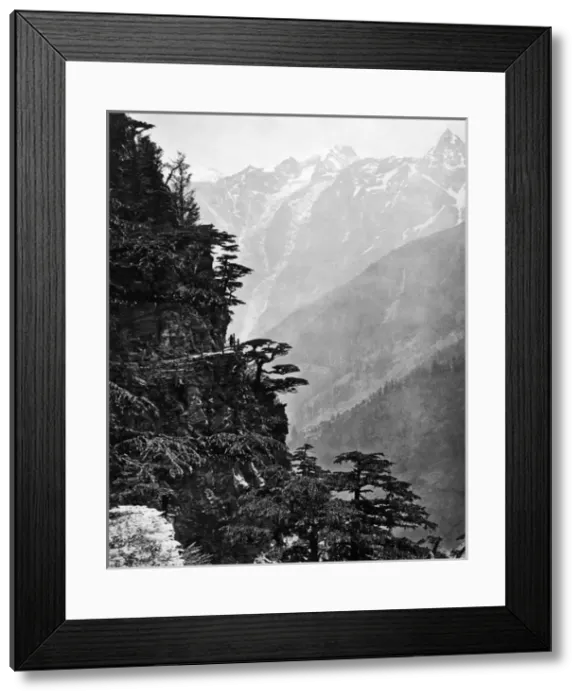 Framed Print : New Road at Rogi, near Chini, Himalayas, India Framed Print : New Road at Rogi, near Chini, Himalayas, India