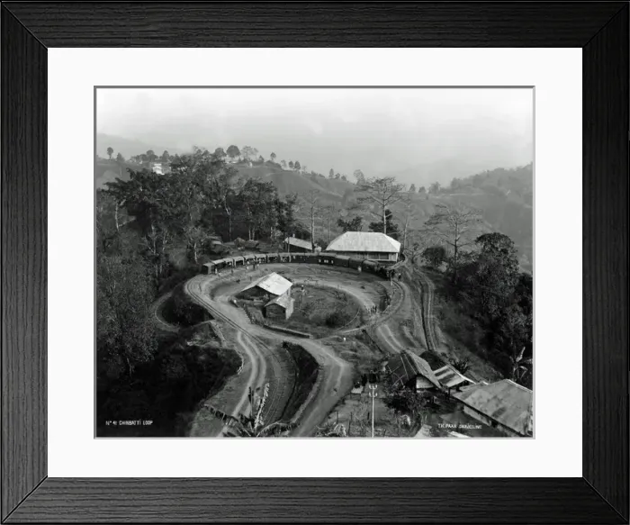 Framed Print : Chinbatti Loop, Darjeeling Railway, India Framed Print : Chinbatti Loop, Darjeeling Railway, India