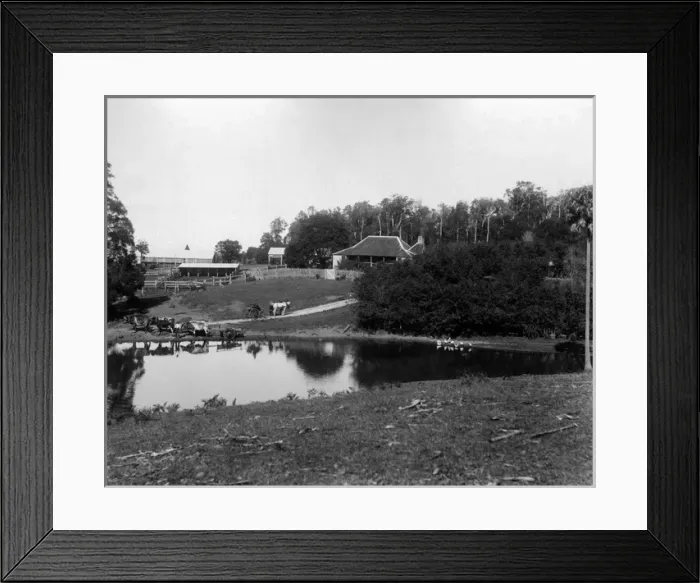 Framed Print : Grahams Farm, Berry Mountain, Australia Framed Print : Grahams Farm, Berry Mountain, Australia
