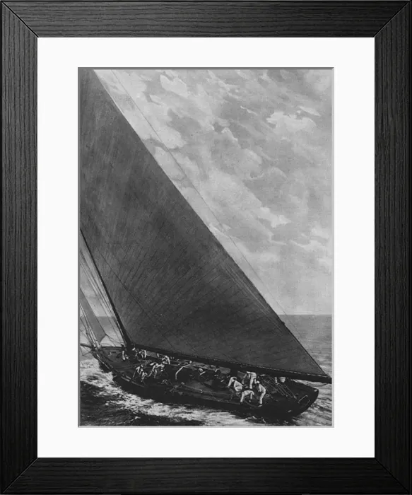 Framed Print : Shamrock IV Framed Print : Shamrock IV