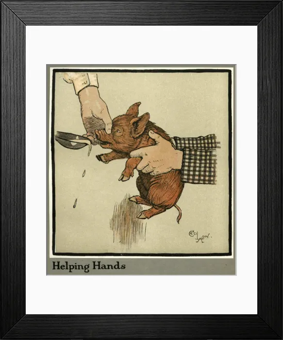 Framed Print : Hungry Peter the pig, as a young piglet Framed Print : Hungry Peter the pig, as a young piglet