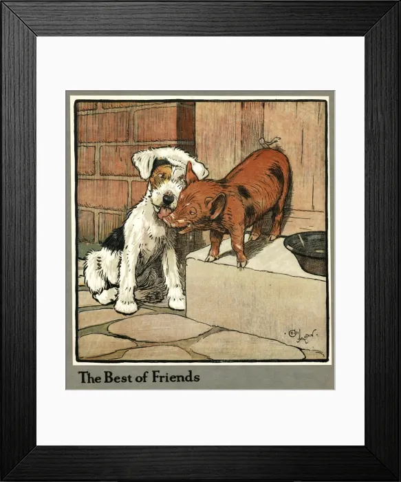 Framed Print : Hungry Peter as a piglet makes friends with a dog Framed Print : Hungry Peter as a piglet makes friends with a dog