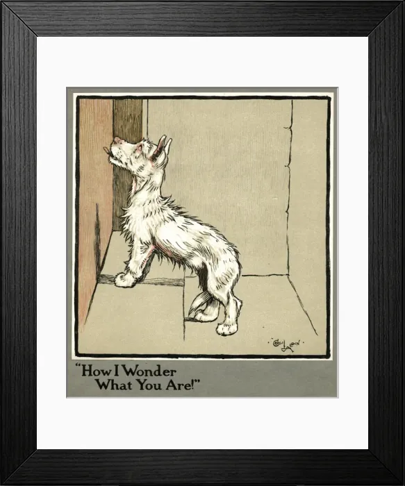 Framed Print : Rags the puppy in the dairy Framed Print : Rags the puppy in the dairy