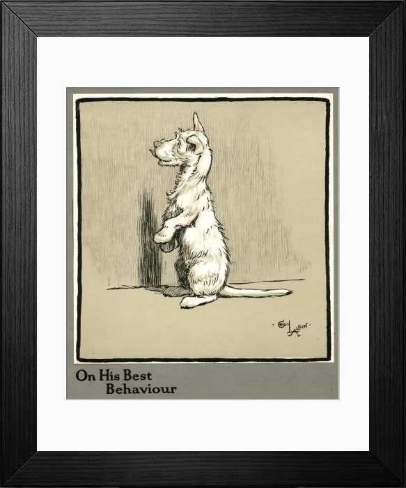 Framed Print : Rags the puppy sitting up on his hind legs Framed Print : Rags the puppy sitting up on his hind legs