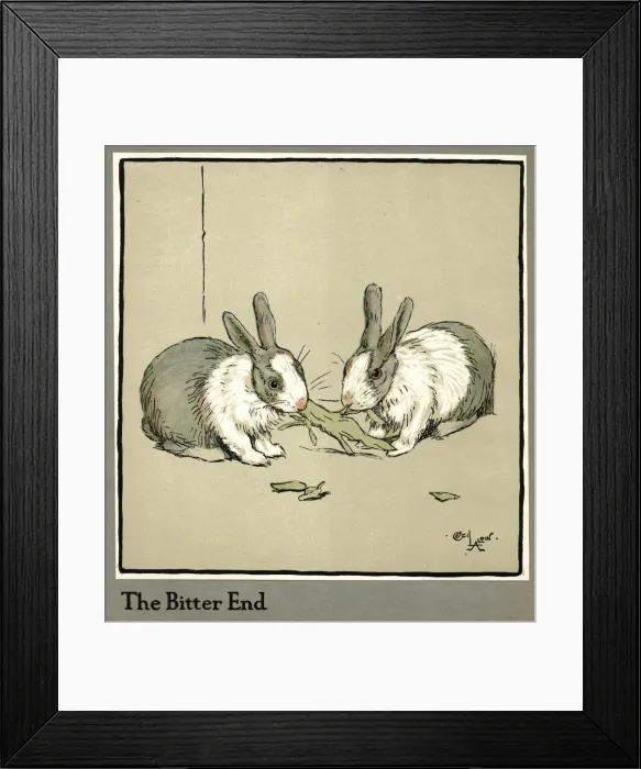 Framed Print : Humpty and Dumpty the rabbits eating a cabbage Framed Print : Humpty and Dumpty the rabbits eating a cabbage