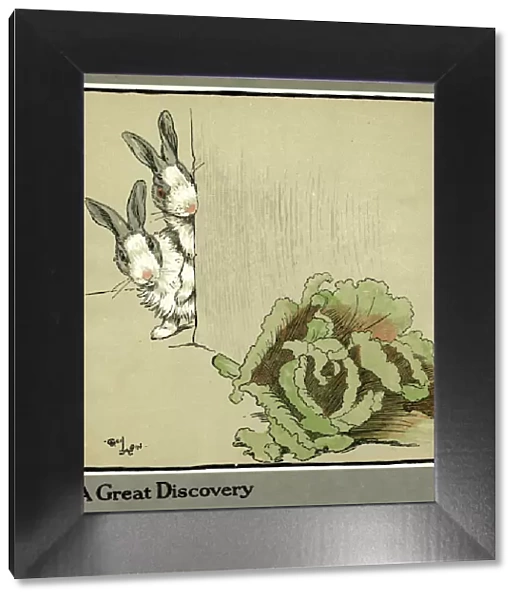 Humpty and Dumpty the rabbits find a cabbage