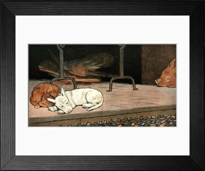 Framed Print : Rags the puppy joins cat and piglet by the fire Framed Print : Rags the puppy joins cat and piglet by the fire