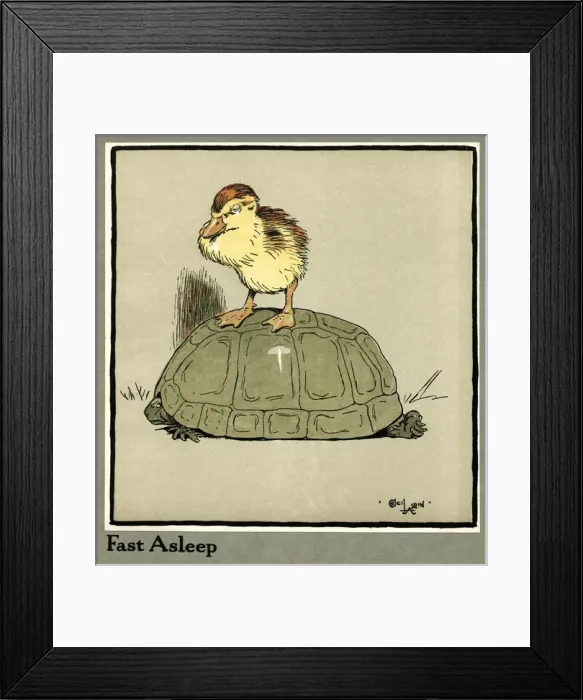 Framed Print : Master Quack the duckling riding a tortoise Framed Print : Master Quack the duckling riding a tortoise
