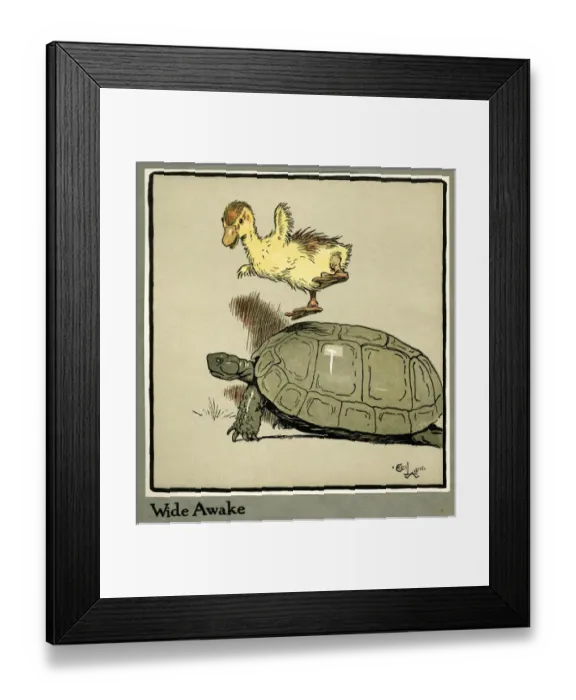 Framed Print : Master Quack the duckling thrown into the air Framed Print : Master Quack the duckling thrown into the air