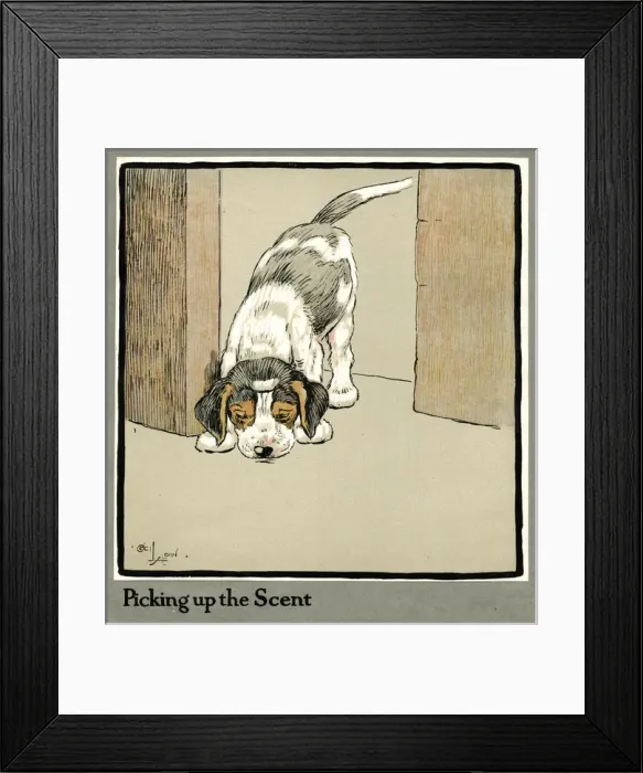 Framed Print : Forager the puppy picks up a scent Framed Print : Forager the puppy picks up a scent