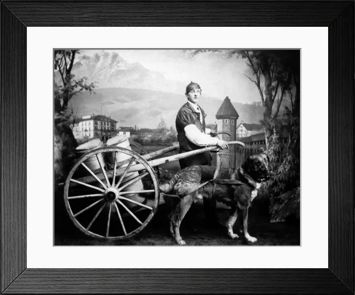 Framed Print : Man and dog with milk cart Framed Print : Man and dog with milk cart