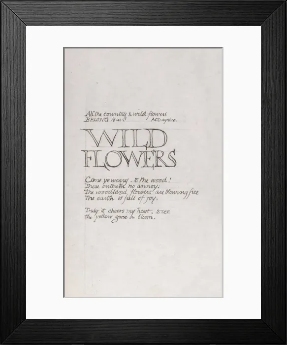 Framed Print : Botanical Sketchbook -- lettering Framed Print : Botanical Sketchbook -- lettering