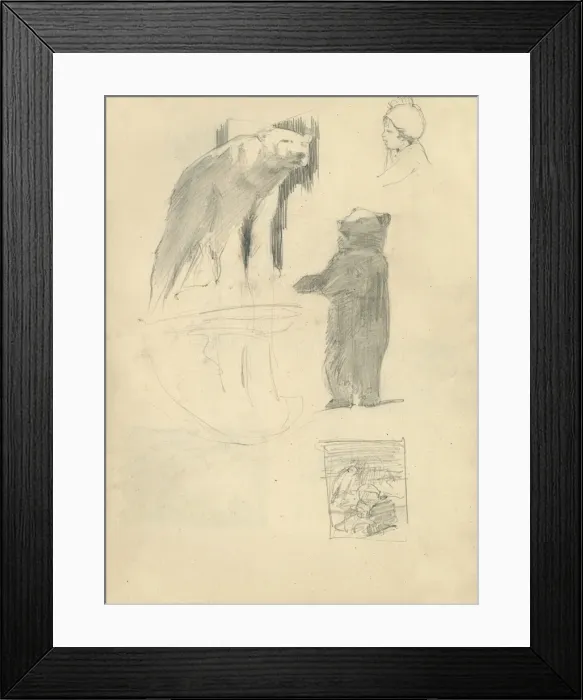 Framed Print : Pencil sketches of bears Framed Print : Pencil sketches of bears