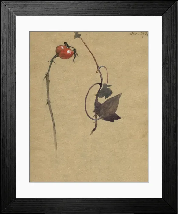 Framed Print : Study of rosehips and dried leaves by Muriel Dawson Framed Print : Study of rosehips and dried leaves by Muriel Dawson