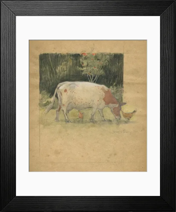 Framed Print : Grazing cow by Muriel Dawson Framed Print : Grazing cow by Muriel Dawson