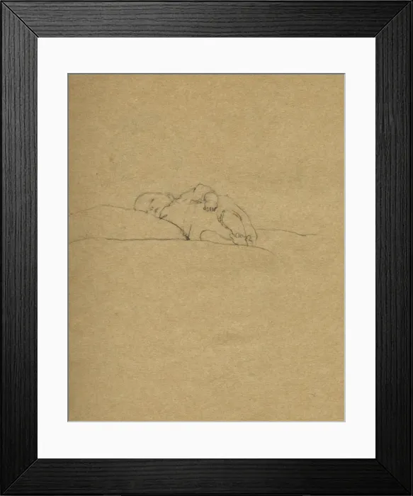 Framed Print : Todiramphus sanctus, scared kingfisher Framed Print : Todiramphus sanctus, scared kingfisher