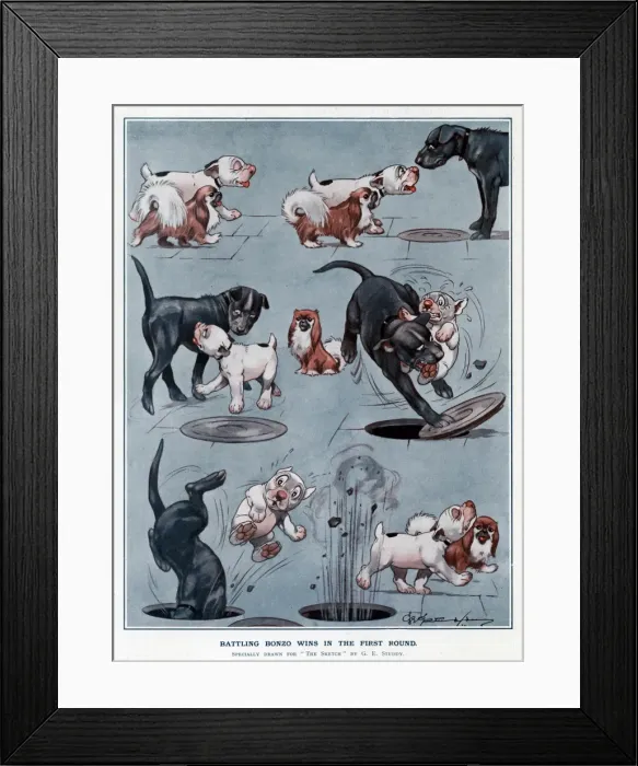 Framed Print : Battling Bonzo wins in the first round by George Studdy Framed Print : Battling Bonzo wins in the first round by George Studdy