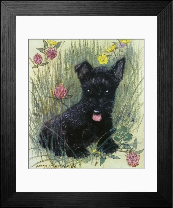 Framed Print : Black puppy by Muriel Dawson Framed Print : Black puppy by Muriel Dawson
