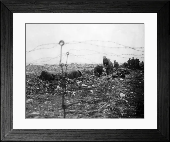 Framed Print : British soldiers digging a trench, WW1 Framed Print : British soldiers digging a trench, WW1