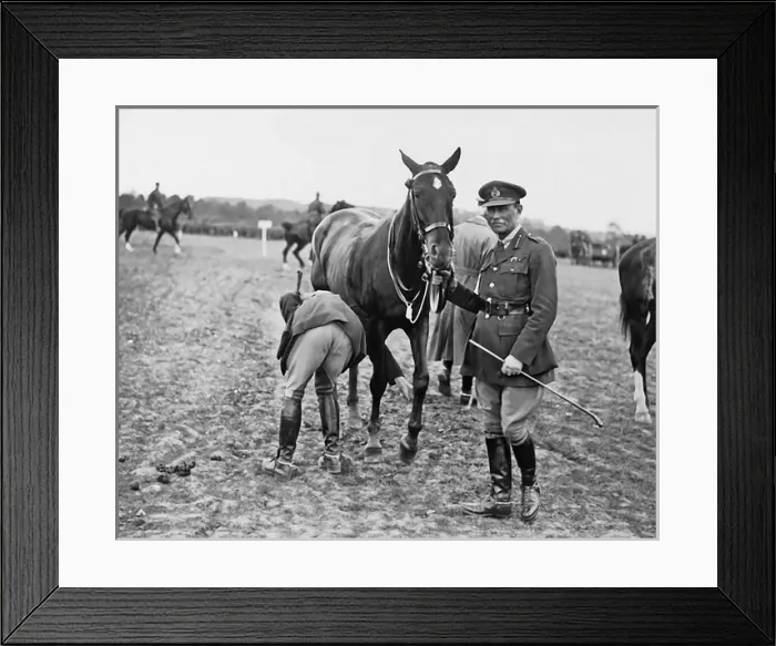 Framed Print : New Zealand Division horse show, Western Front, WW1 Framed Print : New Zealand Division horse show, Western Front, WW1
