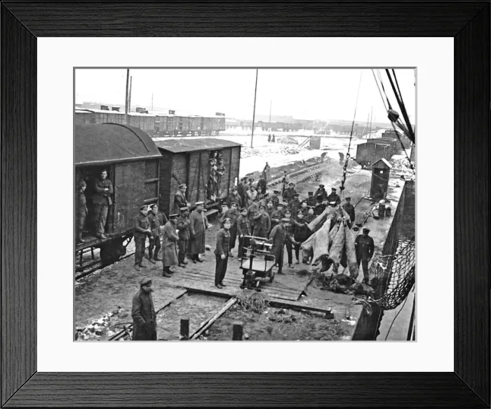 Framed Print : Unloading meat from ship to train, Western Front, WW1 Framed Print : Unloading meat from ship to train, Western Front, WW1