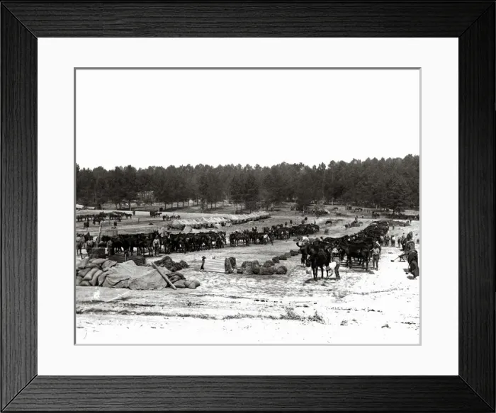 Framed Print : British cavalry camp, Western Front, WW1 Framed Print : British cavalry camp, Western Front, WW1