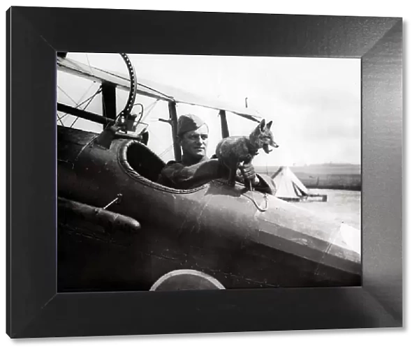 RAF fox mascot with pilot, WW1