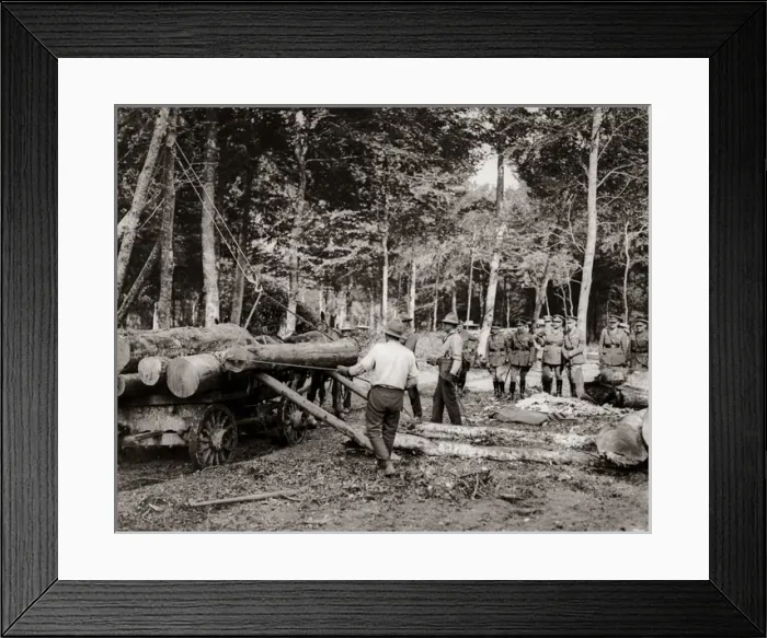 Framed Print : Loggers at work in France, Western Front, WW1 Framed Print : Loggers at work in France, Western Front, WW1