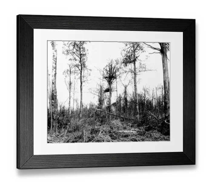 Framed Print : German lookout post, Mametz Wood, Western Front, WW1