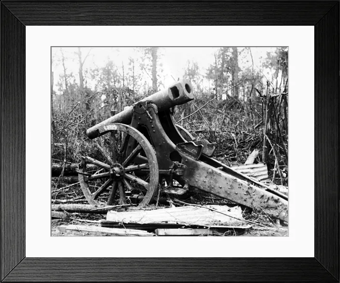 Framed Print : Captured German gun, Mametz, Western Front, WW1 Framed Print : Captured German gun, Mametz, Western Front, WW1
