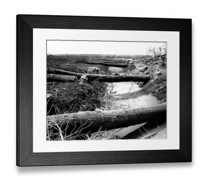 Framed Print : Tree trunks cut by Germans, Western Front, WW1 Framed Print : Tree trunks cut by Germans, Western Front, WW1