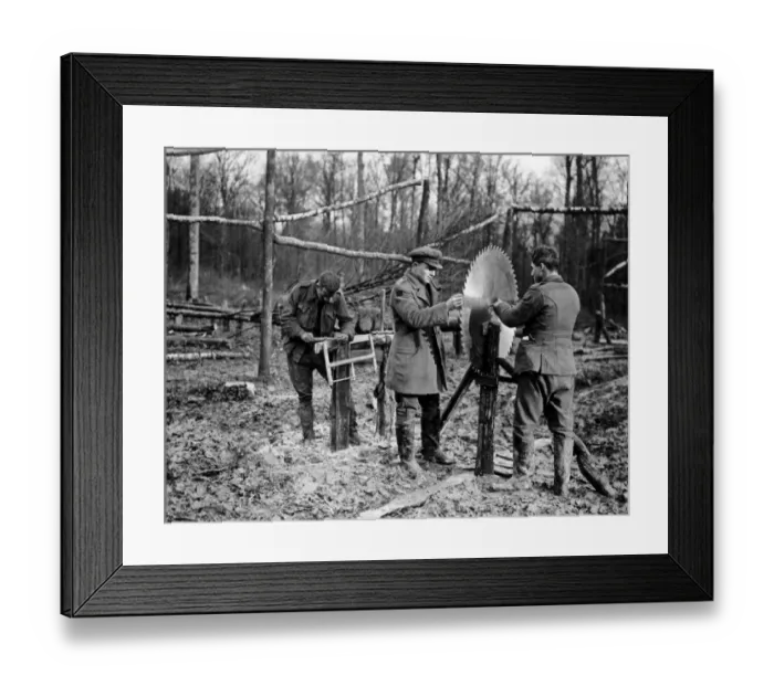 Framed Print : Men with circular saw, Western Front, WW1 Framed Print : Men with circular saw, Western Front, WW1
