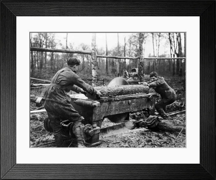 Framed Print : Cutting log at new sawmill, Western Front, WW1 Framed Print : Cutting log at new sawmill, Western Front, WW1