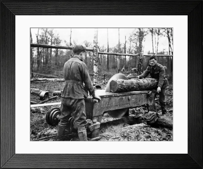 Framed Print : Cutting log at new sawmill, Western Front, WW1