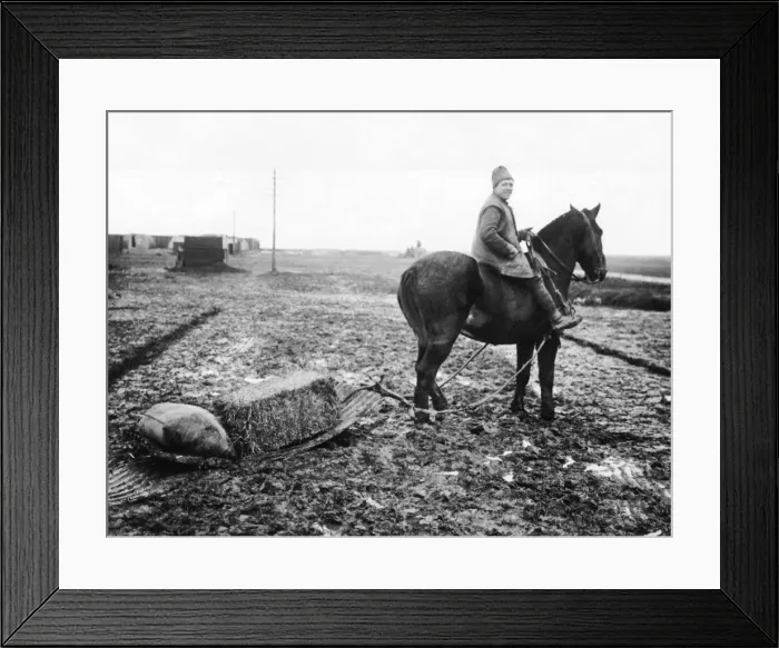 Framed Print : British soldier with corrugated iron for transport, WW1 Framed Print : British soldier with corrugated iron for transport, WW1