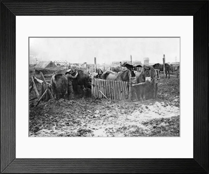 Framed Print : British service stable on Western Front, WW1 Framed Print : British service stable on Western Front, WW1