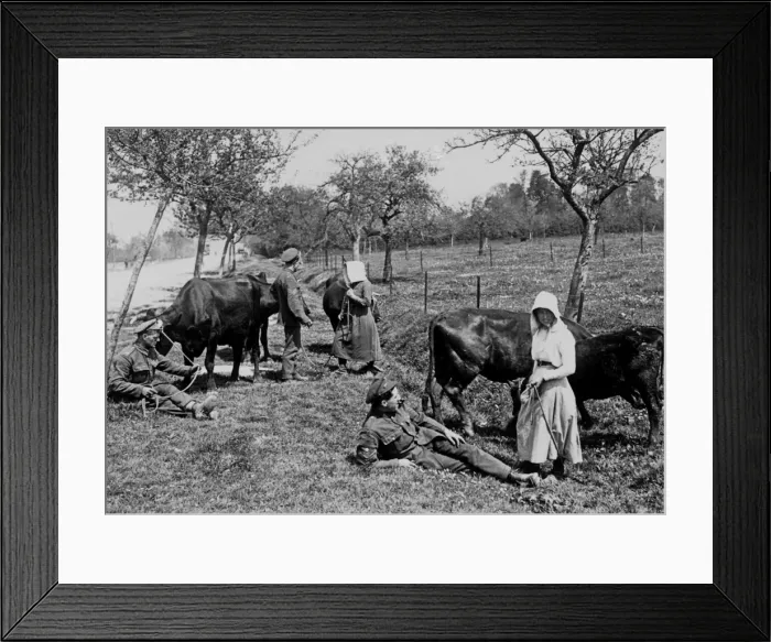 Framed Print : British soldiers and local residents, Western Front, WW1 Framed Print : British soldiers and local residents, Western Front, WW1
