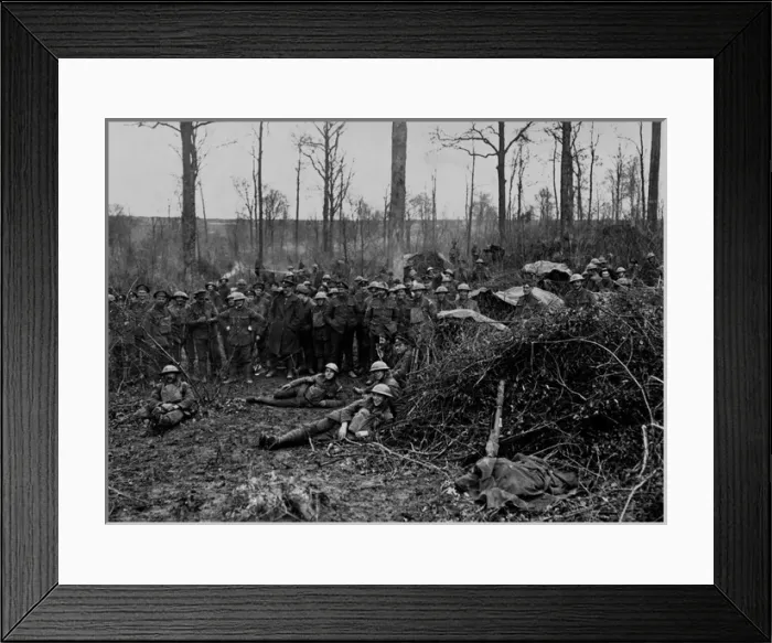 Framed Print : British troops encamped in wood, Western Front, WW1 Framed Print : British troops encamped in wood, Western Front, WW1