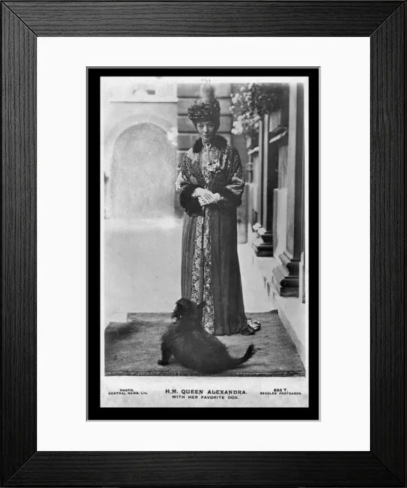 Framed Print : Queen Alexandra with her favourite dog