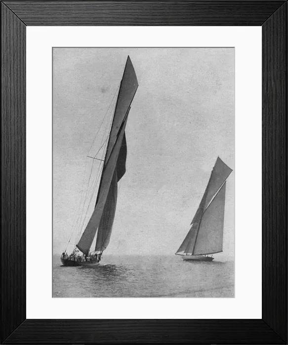 Framed Print : Shamrock I and Shamrock III Framed Print : Shamrock I and Shamrock III