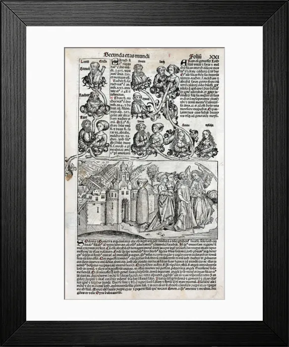 Framed Print : Destruction of Sodom and Gamorrah