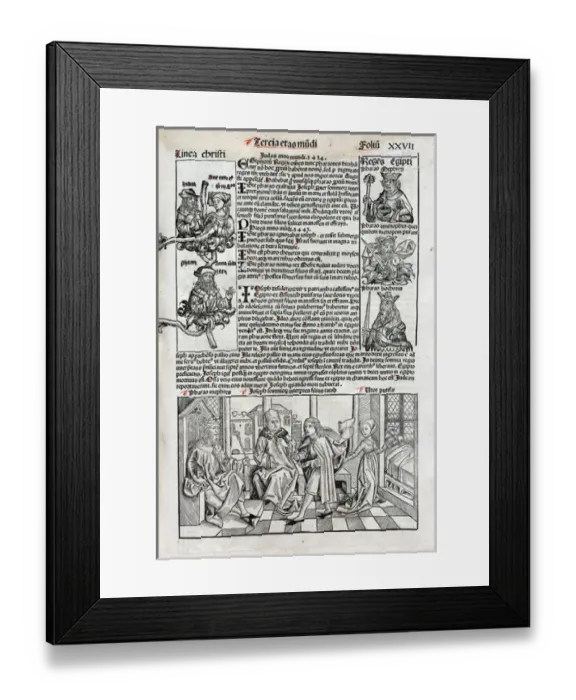 Framed Print : Joseph before Pharaoh Framed Print : Joseph before Pharaoh