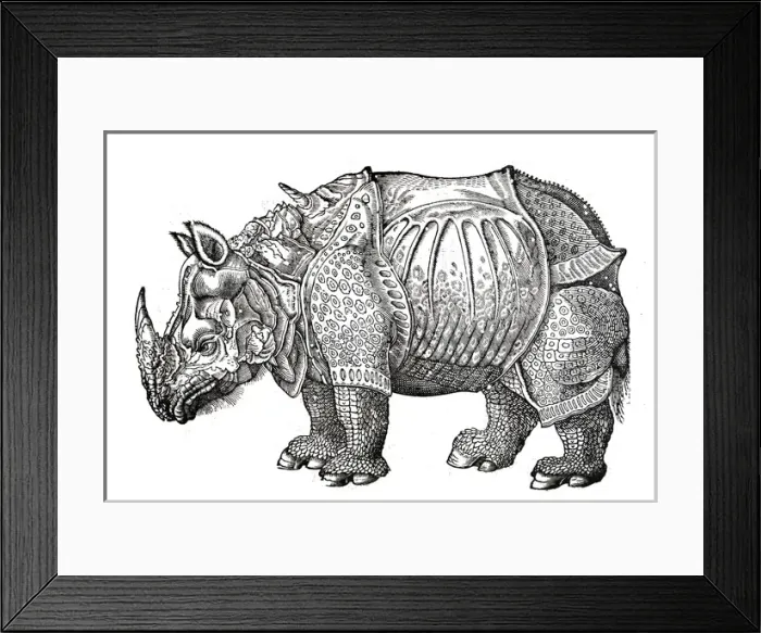 Framed Print : Rhino from Topsells The history of four-footed beasts and serpents Date: 1658 Framed Print : Rhino from Topsells The history of four-footed beasts and serpents Date: 1658