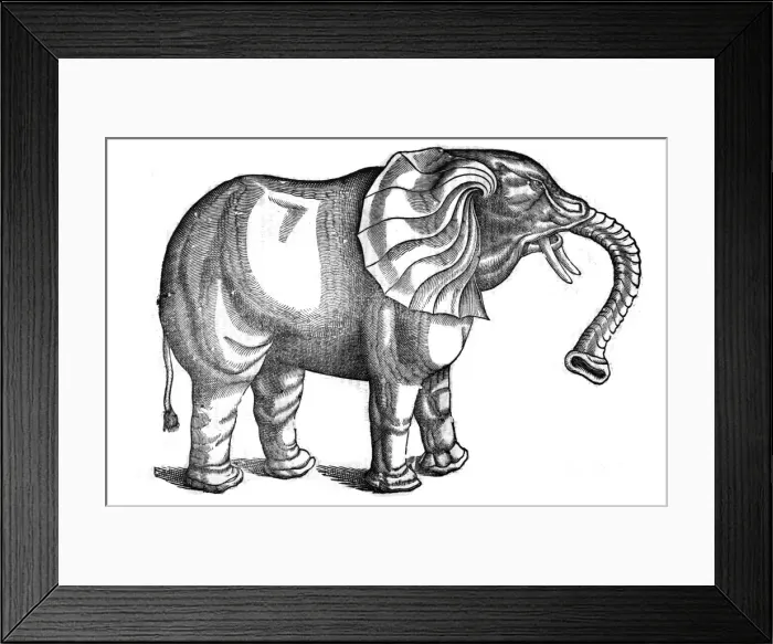 Framed Print : Elephant from Topsells The history of four-footed beasts and serpents Date: 1658 Framed Print : Elephant from Topsells The history of four-footed beasts and serpents Date: 1658