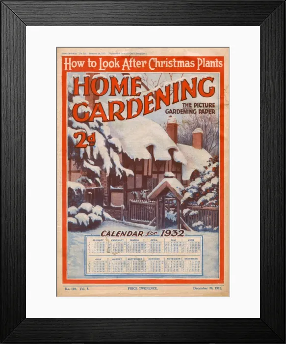 Framed Print : Home Gardening magazine, December 1931 Framed Print : Home Gardening magazine, December 1931