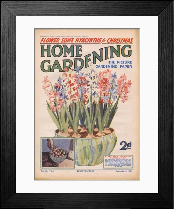 Framed Print : Home Gardening magazine, September 1932 Framed Print : Home Gardening magazine, September 1932