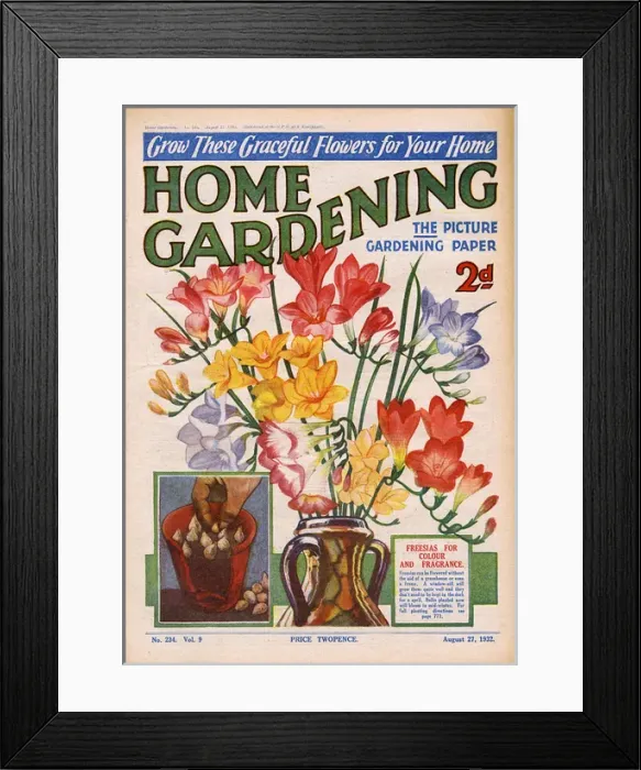 Framed Print : Home Gardening magazine, August 1932 Framed Print : Home Gardening magazine, August 1932